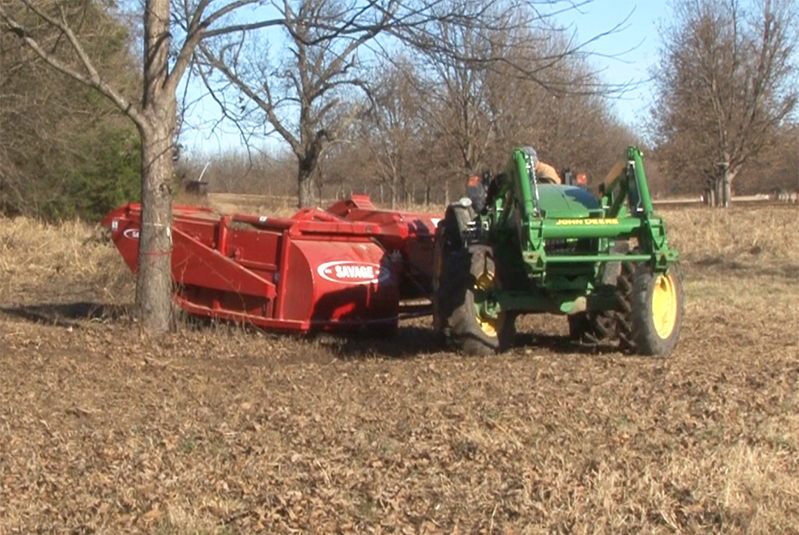 pecan harvester harvesting