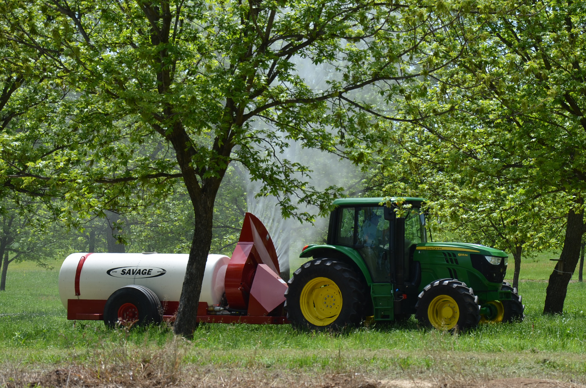 Sprayer spraying in orchard